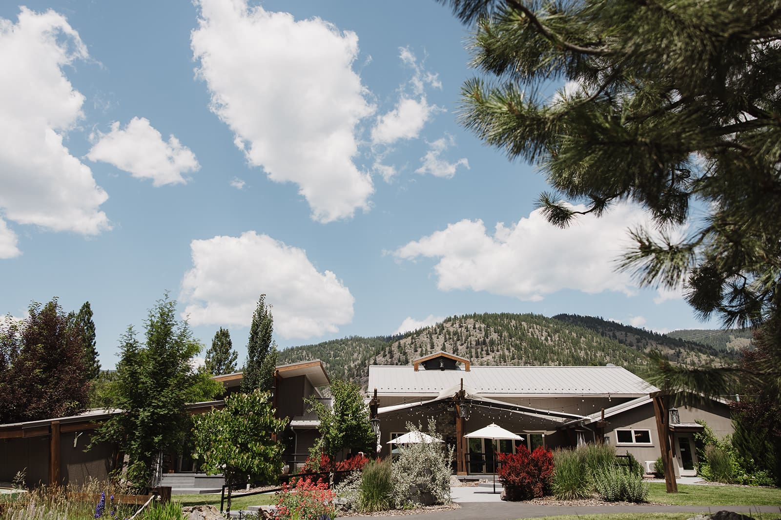 Scenic exterior view of The White Raven wedding venue near Missoula, Montana, surrounded by lush pine trees and mountain backdrops, perfect for summer weddings