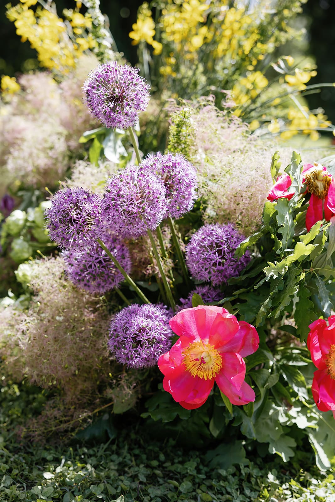 Purple allium and pink garden flowers in natural light, floral detail shot from luxury Rome destination wedding, botanical design aesthetic